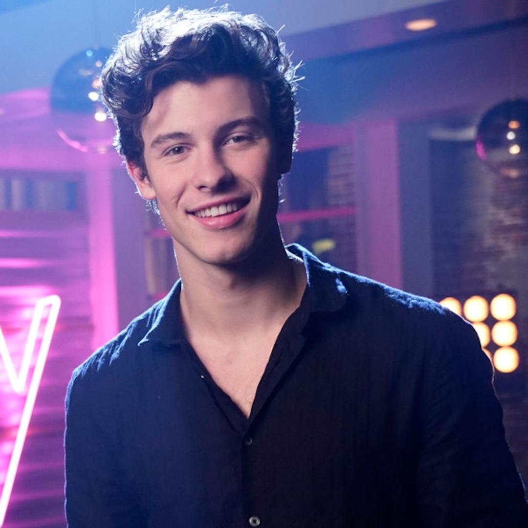 Shawn Mendes Admits He's Single as New Album Drops E! Online